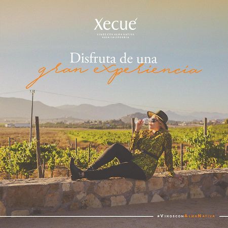 恩塞纳达港 Vinos Xecue酒店 外观 照片
